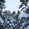 不忘山 - 白石スキー場から厳冬期の南蔵王を雪山登山！