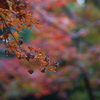 今月100PVだそうで