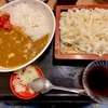 そば処名古屋（葛飾区水元）カレーセット•きしめん