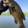 ５月の平日☀️昼下がりの多摩川で48cmと他２匹釣った話😄🐟🐟🐟✨💡🍀✌️