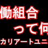 【動画公開】労働組合って何？　個人加盟の労働組合（ユニオン）はなぜ（組合員個人の待遇も含め）職場の問題を解決できるの？