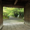京都「龍安寺」萩　2026