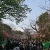 上野東照宮に花見に行ってみた。（台東区上野公園）