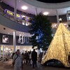 今年を少し振り返る。