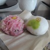 京都「上生菓子界」の頂点か