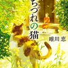 猫とともに歩む人生の物語「唯川恵：みちづれの猫」【読書感想文】