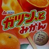 大人への興味