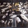 HGUC 1/144 RX-0 ユニコーンガンダム デストロイモード (機動戦士ガンダムUC)　製作記 PART2