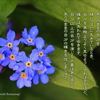 バイブル・エッセイ(450)『手と足を見なさい』 - 片柳神父の