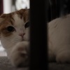 まだ家にいる。