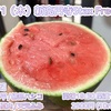 夏の極み