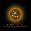 After Crying のオーケストラ共演ライブ映像がすさまじい