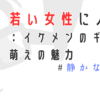 ヤクザ漫画『静かなるドン』（後半）：女性読者が支持する理由は？