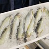 名古屋市場に生鮮アユ入荷　森養魚場が11ケース