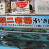 函館といったらイカっしょ！朝市に来たらいか釣りとイカ料理を楽しもう