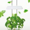 オリンピア照明、壁掛けタイプの新たな家庭用・植物工場キットを販売