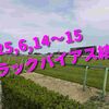 2025,6,14～15 トラックバイアス結果 (東京競馬場　阪神競馬場　函館競馬場)