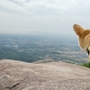 210606 犬散歩 土器山