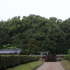 神社(?)に行った話…開化天皇陵