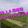 2020,1,6 月曜日 トラックバイアス予想 (中山競馬場、京都競馬場)