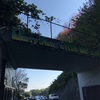 渋いけど楽しい♪♪フィッシュオン王禅寺で意外な再開も…。