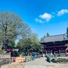 つつじ祭り　根津神社