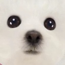 まるこ日記。