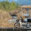 ご近所プチツー　朝日山本宮と沈下橋、そして棚田