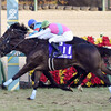 競馬初心者必見☆馬券予想🔥〜ホープフルS〜2023年締めくくり！最後も武豊騎手に想いを乗せて