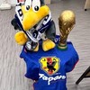 サッカー　ああW杯　最高のスポーツ