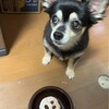 まろにー3933日目