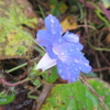 「雨～雨」10首歌