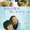 映画『きみの瞳(め)が問いかけている』あらすじ･感想･ちょっとネタバレ 君に世界を見て欲しい