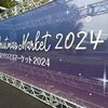 神宮外苑いちょう並木 2024年11月27日