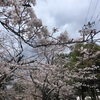 次期センター試験