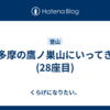 奥多摩の鷹ノ巣山にいってきた(28座目)