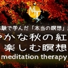 【臨死体験で学んだ「本当の瞑想」講座29】鮮やかな秋の紅葉を楽しむ瞑想【誘導瞑想】初級