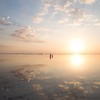 【スピリチュアル】夏至の日に思う　～　ノアの大洪水で活躍し、神武天皇を救い、現代のアセンションを支えるカラスは太陽神の使いなのか？