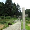 板ヶ谷町八幡神社のスギ（金沢市板ヶ谷町）