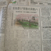 五色桜　と　花水木　日米親善発信地を報道した東京新聞の奇縁