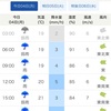 12/04 月曜日　雨日　アセロラ枝葉廃棄