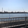 ポカポカ釣り日和☆彡東京湾奥