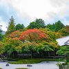 福岡県にある雷山千如寺大非王院の紅葉