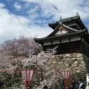 歴史好きの大和徒然草子