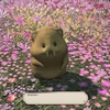 世の中、謎のままの方が良いこともある【FF14】