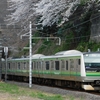 ソメイヨシノの下を走る横浜線の電車(修正版)