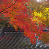 粟田神社（再訪）