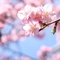 カメラがあるから歩けるのだ