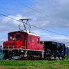 バラスト砕石を散布するED333とホキ800を撮る！(弘南鉄道弘南線撮影編)