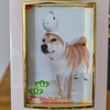自称有意義な日